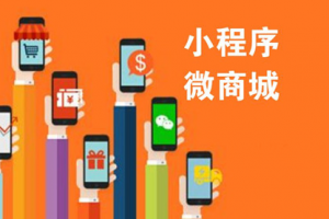 商城小程序開(kāi)發(fā)