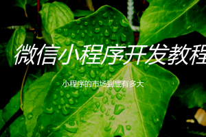 微信小程序開發實戰教程