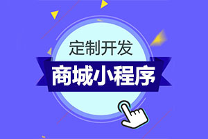 商城小程序定制開發哪家強?費用多少?